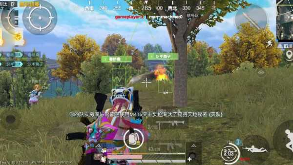 和平精英辅助《瓦瓦》